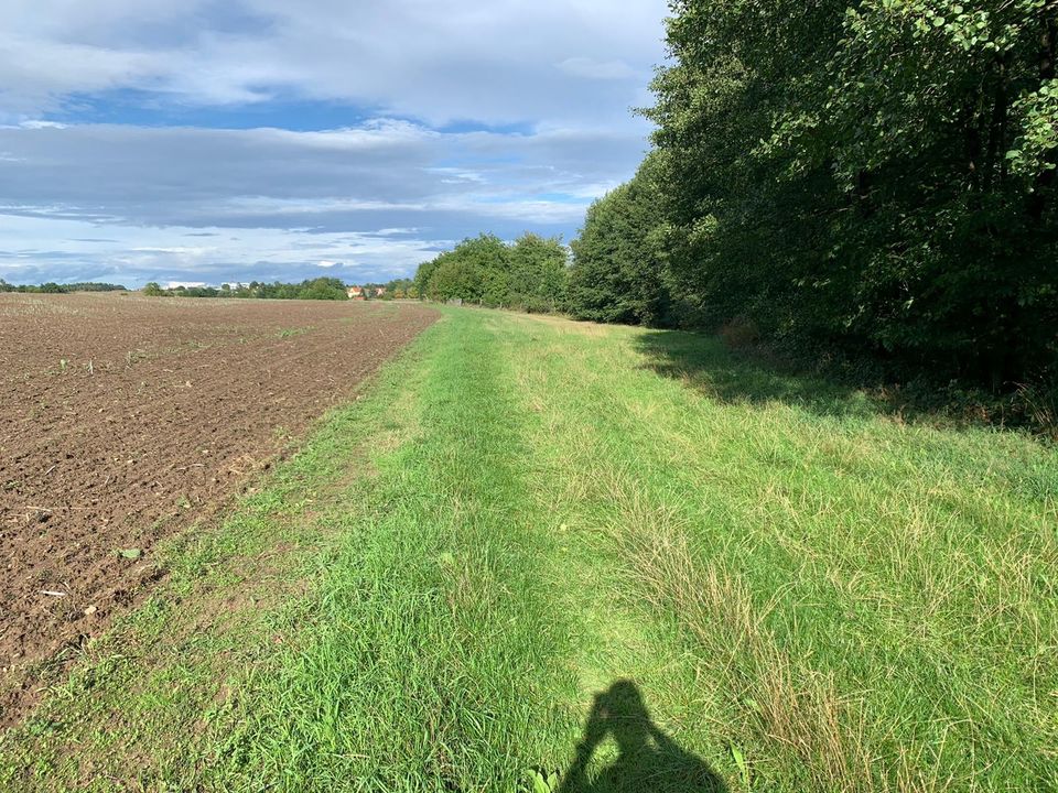 * Lederhose * A9 * An Feld & Wald * Wiese zum mähen zu verpachten in Lederhose