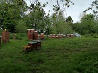 Bienenkisten Bayern - Neu Ulm Vorschau