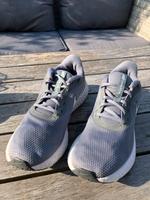Nike Revolution Gr. 43 / US 9,5 grau Running Schleswig-Holstein - Henstedt-Ulzburg Vorschau