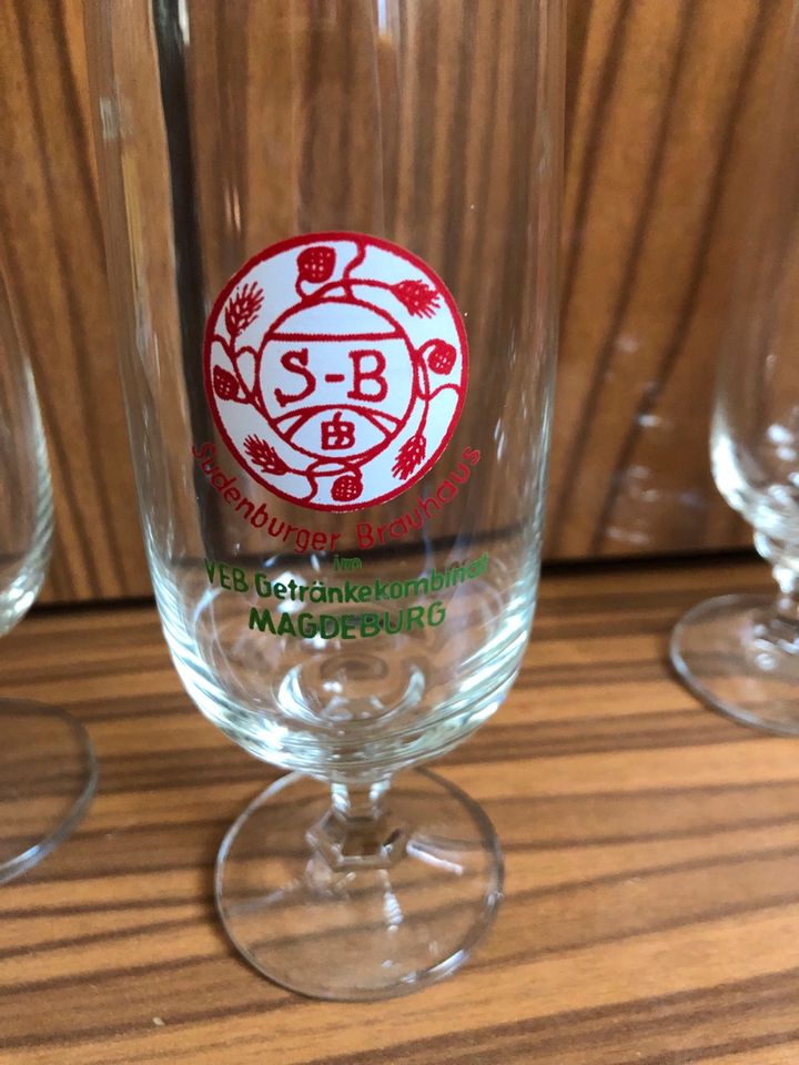 22x Biertulpen Bierglas Sammelglas DDR Sternburg Bockbier VEB in Dresden