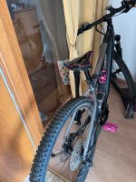 E Bike  ca 2 Jahre alt Hessen - Haiger Vorschau