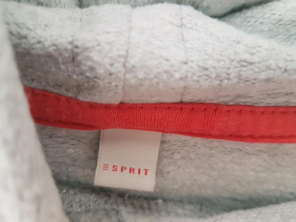 Esprit Sweatshirt Hoodie grau (146)/152/158 in Dortmund