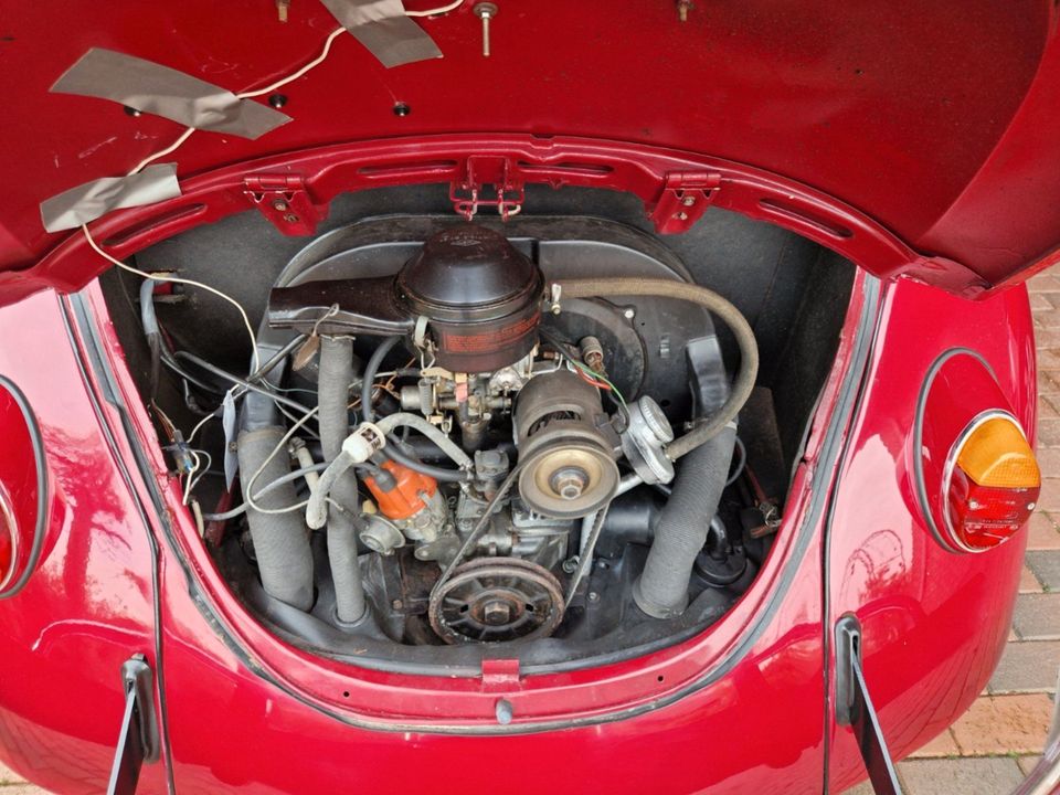 VW Käfer 1300 Baujahr 1968 Komplett restauriert in Neuenkirchen-Vörden
