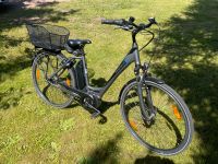 E-Bike Pegasus Ancura Sachsen - Rochlitz Vorschau