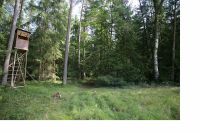 Waldflächen in Veldershof Bayern - Lauf a.d. Pegnitz Vorschau