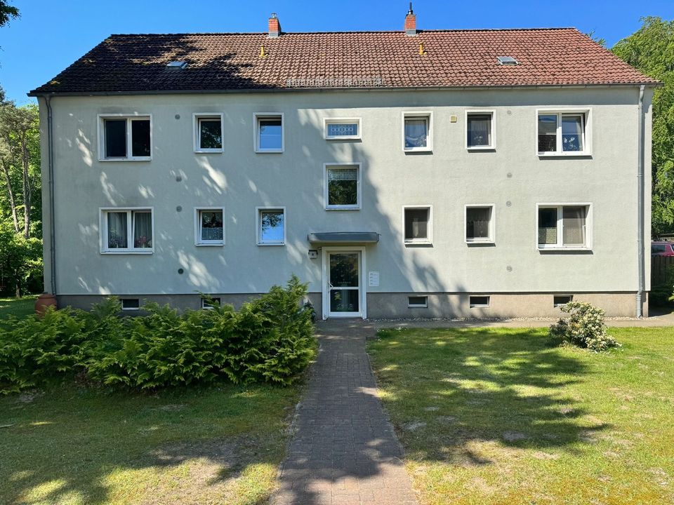 Wohnung im Seebad Heringsdorf in Seebad Heringsdorf