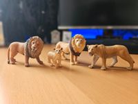 Schleich | Löwen Familie Östliche Vorstadt - Peterswerder Vorschau