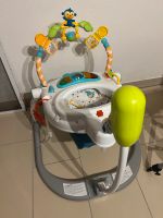 Fisher Price Jumperoo Baby Hopser Bayern - Reichertshofen Vorschau