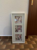 Ikea Bild Blumen rosa Hessen - Darmstadt Vorschau