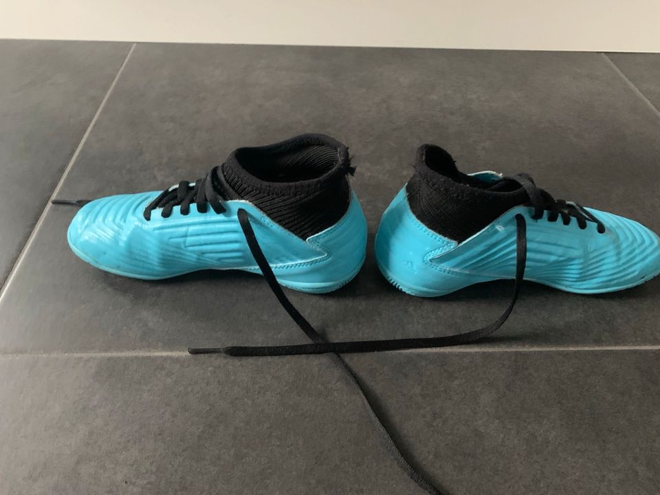 Hallenschuhe Adidas Predator Größe 33 in Bad Bentheim