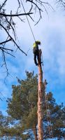 Baumfällungen aller Art- auch Sturmschäden- Seilklettertechnik. Niedersachsen - Bad Lauterberg im Harz Vorschau