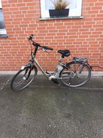 E-bike Gazelle (Elektro Fahrrad) Nordrhein-Westfalen - Ahlen Vorschau