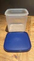 Tupperware Eidgenosse Quadro/Square Container 4 Liter ⭐️NEU⭐️ Hessen - Ortenberg Vorschau