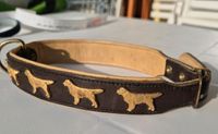 Halsband mit Golden Retriever Besatz braun-gold Köln - Nippes Vorschau