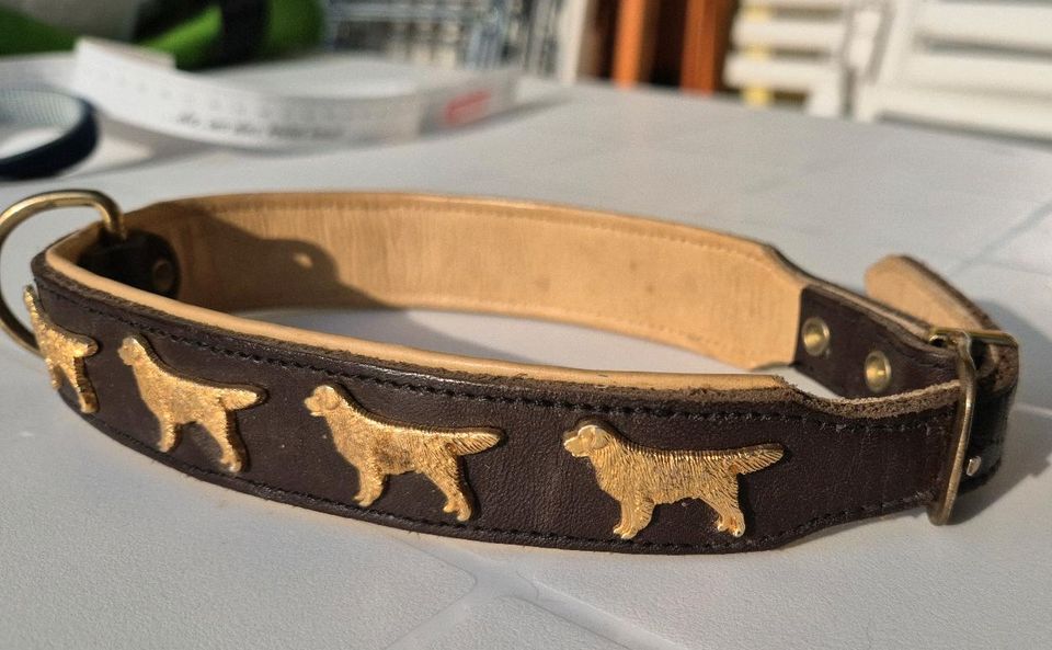 Halsband mit Golden Retriever Besatz braun-gold in Köln