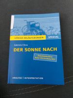 Der Sonne nach/ Königs Erläuterungen Analyse Baden-Württemberg - Untermünkheim Vorschau