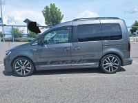 Vw Caddy 2,0tdi Edition 35 Bayern - Salzweg Vorschau