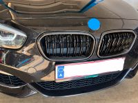 Carbon Kühlergrill Gitter passend für BMW F20 F21 M135i M140i Bayern - Weißensberg Vorschau