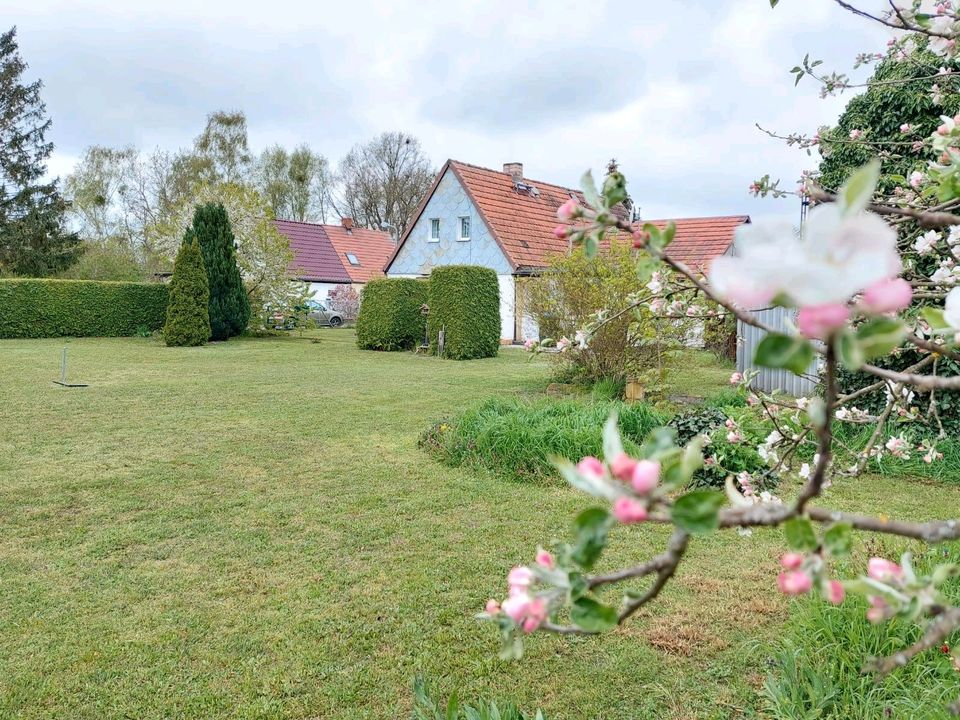 Haus in Falkensee Finkenkrug von Privat in Berlin