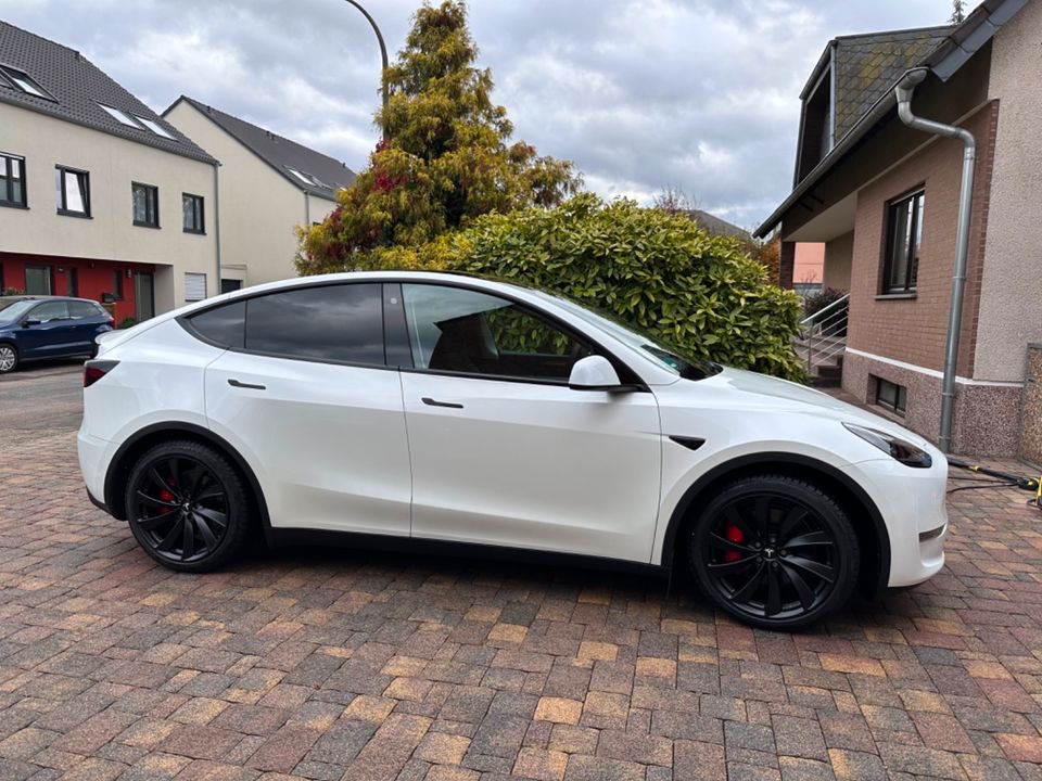 TESLA Model Y Performance USS, Keramikversiegelung in Bornheim