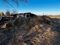 Pferdemist zu verschenken. Bayern - Heroldsbach Vorschau