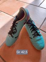 Nike Tempo Legend Stollenschuhe Fußballschuhe Gr 42,5 Hessen - Sontra Vorschau