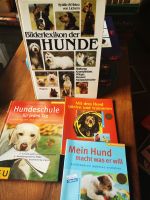 Bücher Paket Bilderlexikon der Hunde Hundeschule Hund macht was e Sachsen-Anhalt - Magdeburg Vorschau