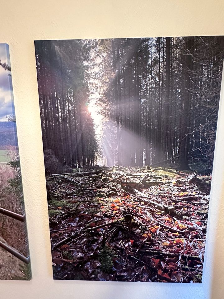 Leinwandbilder Sächsische Schweiz,Wald,Natur,eigene Aufnahmen in Reinhardtsdorf-Schöna
