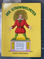 Kinderbuch „Der Struwwelpeter“ Niedersachsen - Neustadt am Rübenberge Vorschau