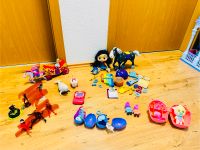 Wissper, Sophia 1., Hatchimals, Acryl Baby, Peppa, Miraculus Sachsen-Anhalt - Langenstein Vorschau