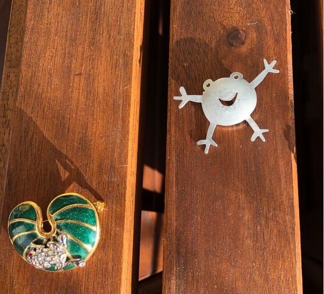 2 x Frosch Broschen Modeschmuck Anstecknadeln je 8 € VB in Nörten-Hardenberg