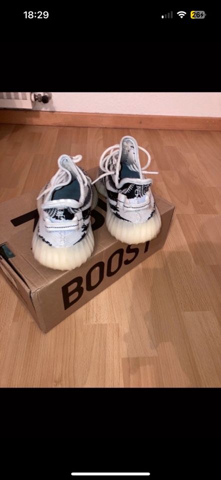 Adidas Yeezy Boost 350 - Zebra in Köln