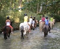 Reiterferien-Reitcamp am Kaiserstuhl Baden-Württemberg - Wyhl Vorschau