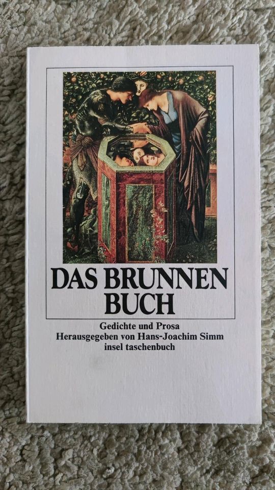 Biografie Erzählung Roman Prosa Insel Taschenbuch in Bonndorf