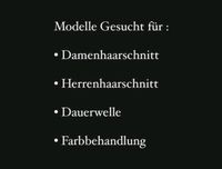Modelle Gesucht Hessen - Kassel Vorschau