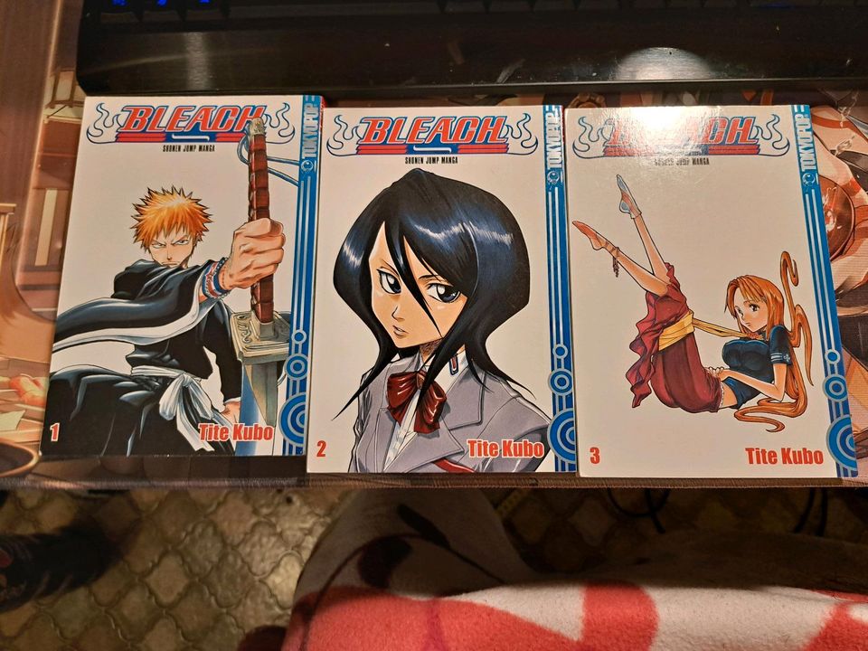 Bleach Manga Tite Kubo Shinigami Ichigo Anime Japan in Dortmund