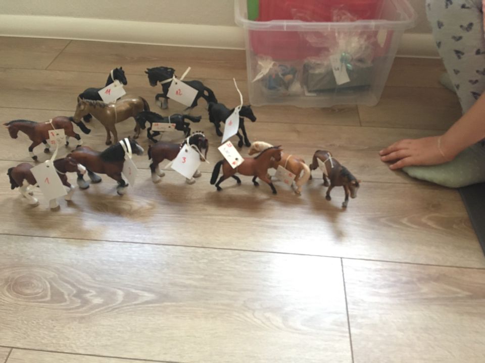 Schleich Pferde in Chemnitz