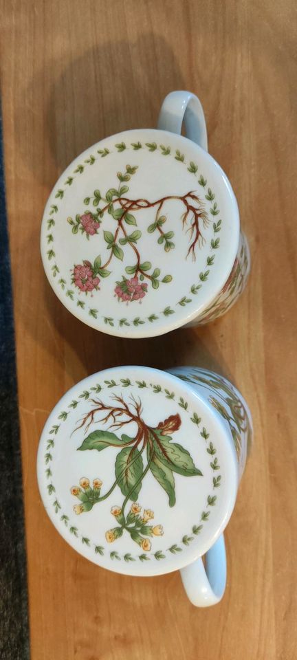 2 Teetassen aus Porzellan in Sitzendorf
