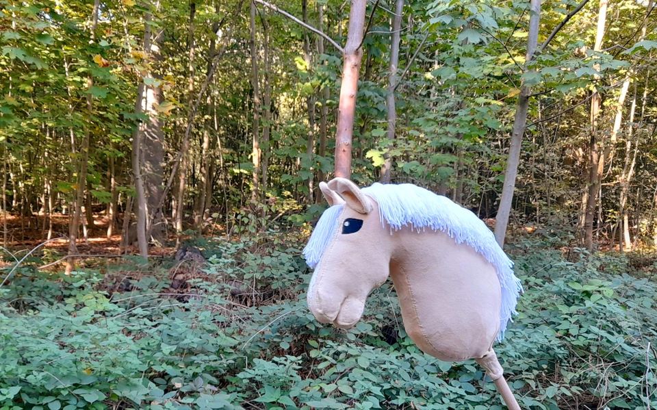 ♡Hobby Horses suchen ein schönes neues Zuhause♡ in Hannover