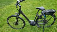 Pegasus Tiefeinsteiger ebike e bike bosch Performance 500wh 50cm Hessen - Hohenahr Vorschau