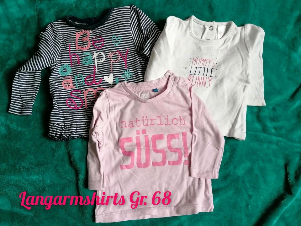 Kleidungspaket Langarm Baby Mädchen 62 68 Body Pullover T-Shirt in Dresden