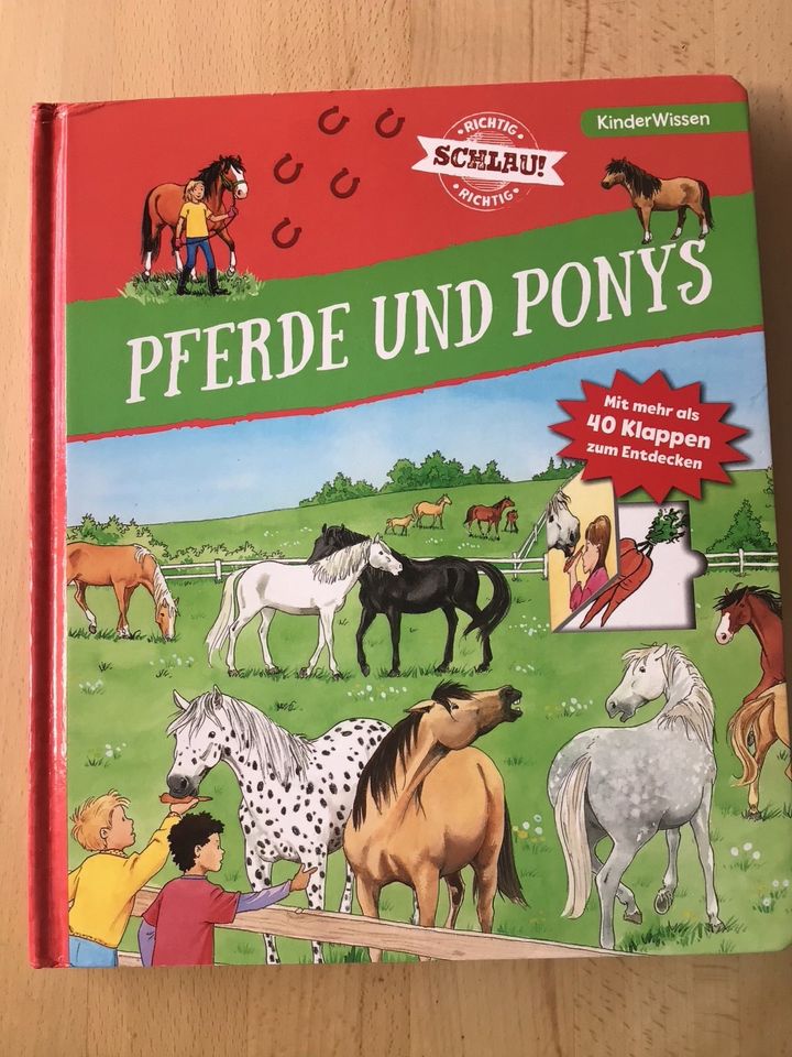 Buch mit Klappen Pferde und Ponys in Konstanz