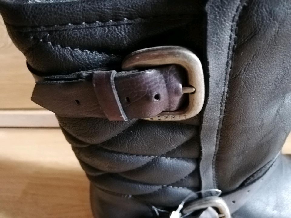 Damen Stiefeletten von Esprit Größe 40 neu in Thaleischweiler-Fröschen