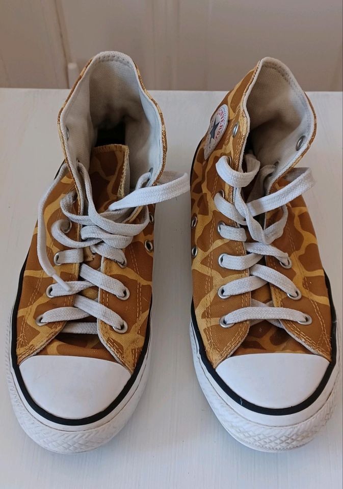 Giraffe chuck shop taylors