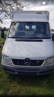 Mercedes Sprinter 313 cdi Hannover - Linden-Limmer Vorschau