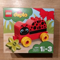 Lego Duplo 10858 My first ladybird Münster (Westfalen) - Kinderhaus Vorschau