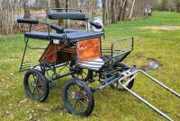 Ponykutsche Marathonwagen Kutsche Niedersachsen - Heidenau Vorschau