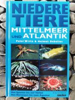 Niedere Tiere Mittelmeer und Atlantik (Debelius/ Wirtz) Rheinland-Pfalz - Landau in der Pfalz Vorschau