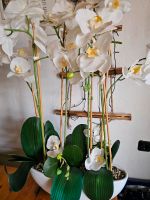Große künstliche Orchidee Nordrhein-Westfalen - Marienheide Vorschau
