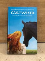 Ostwind Bücher-Set Baden-Württemberg - Dornstadt Vorschau